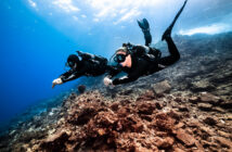 Avelo Diver Training
