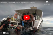 Diveheart - Grenada 2023