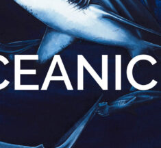 Oceanic 31 – Shark Trust Art Exhibition arrives at Blue Planet Aquarium