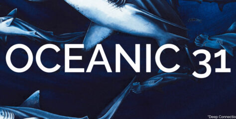Oceanic 31 – Shark Trust Art Exhibition arrives at Blue Planet Aquarium