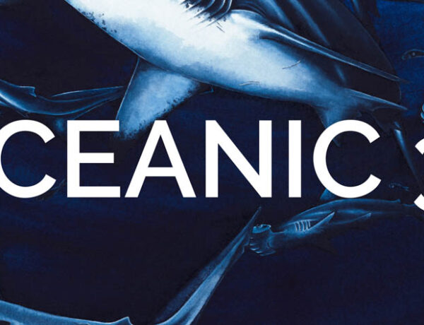Oceanic 31 – Shark Trust Art Exhibition arrives at Blue Planet Aquarium