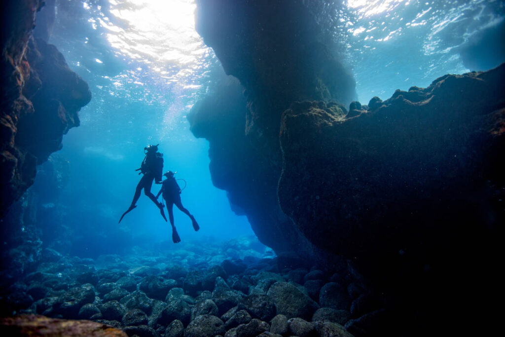 PADI Hawaii Fires