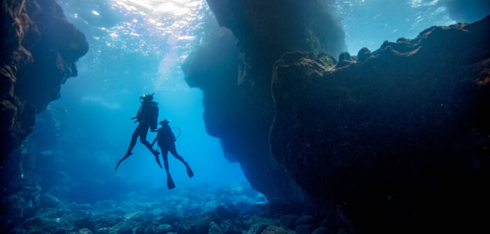 PADI Hawaii Fires