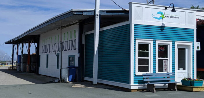 Petty Harbour Aquarium