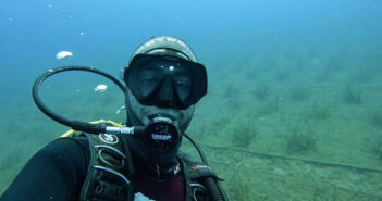 Posidonia Oceanica