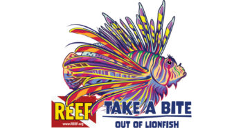 REEF Lionfish Festival