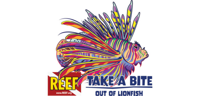 REEF Lionfish Festival