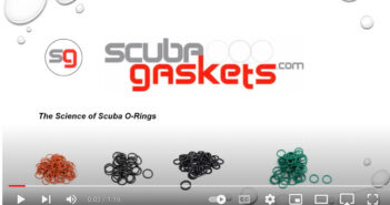 Scubgaskets