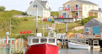 Fisheries and Oceans Canada (DFO) Delays Rebuilding of Largest Herring Population in Canada, Jeopardizing Recovery and the Ecosystem