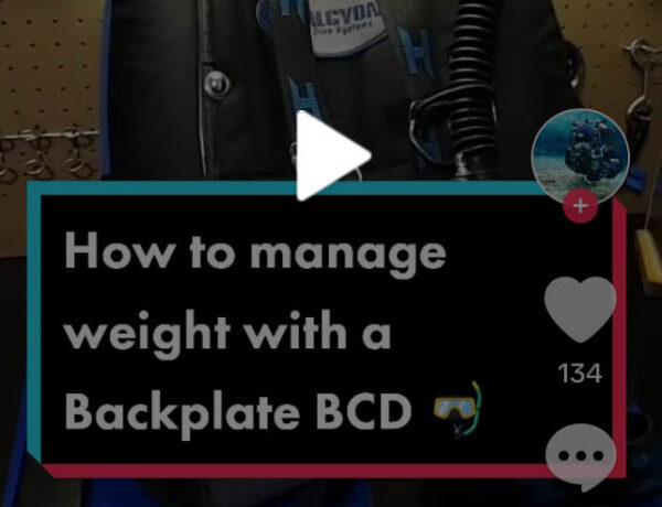 Chris’s Chats on TikTok – Thirteenth Edition: Properly Manage Your Weights in a Backplate Style BCD