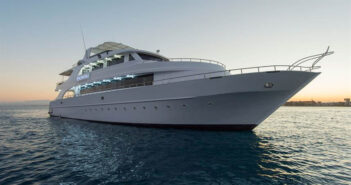 Discovery II, Red Sea, Egypt: 16th September 2023, Brothers, Daedalus and Elphinstone – 20% OFF DIscovery II, Red Sea, Egypt