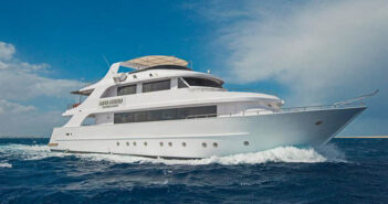 Discovery I, Red Sea, Egypt: 16th September 2023, Brothers, Daedalus and Elphinstone – 20% OFF Discovery 1, Red Sea, Egypt