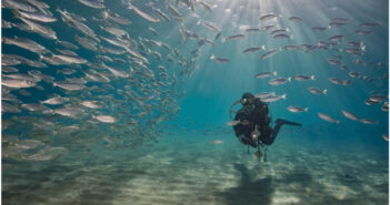 Dive Curacao