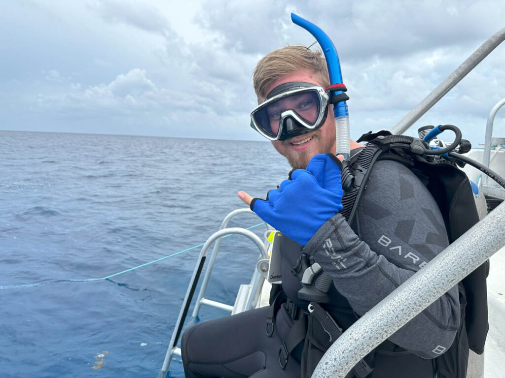 Dive Pirates
