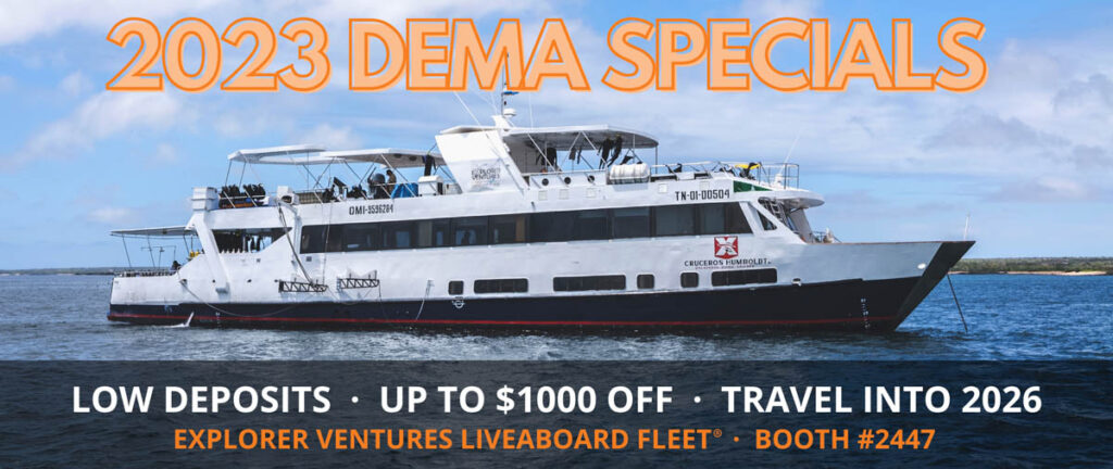Explorer Ventures Fleet