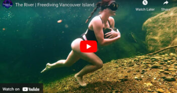 Freediving Vancouver