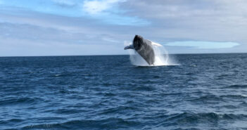 Discover the Enchanted Waters of an Untouched World in Galapagos Galapagos Islands