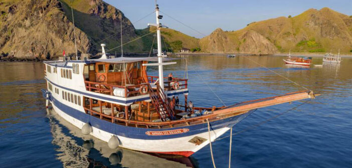 Komodo Sea Dragon, Indonesia: 2nd November 2023 – Komodo National Park – 25% OFF