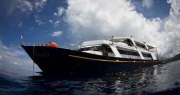 Mermaid II, Indonesia: 6th October 2023, Biodiversity Special – Ring of Fire: Ambon, Banda Sea, Alor and Maumere – 20% OFF Mermaid II Liveaboard, Indonesia