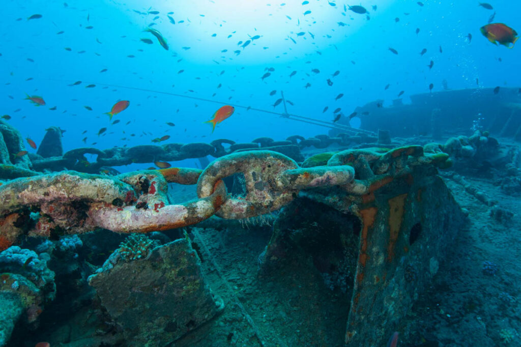 Thistelgorm Wreck Diving