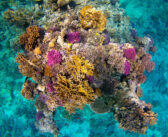 Egypt: Dive into History