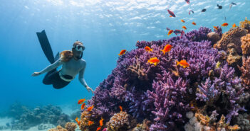 Unveiling the Ultimate Liveaboard Adventures: Dive into the Depths of Seven Stunning Destinations Saudi Arabia