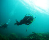 Indonesia: Paradise Beneath the Waves