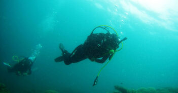 Indonesia’s Underwater Paradise Awaits: Dive into Exclusive Liveaboard Deals! Scuba Diving Indonesia