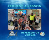 Book a Shark Lesson