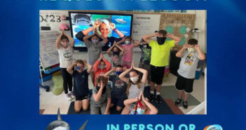 Book a Shark Lesson Sharks4Kids
