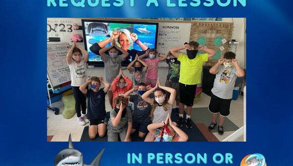 Book a Shark Lesson