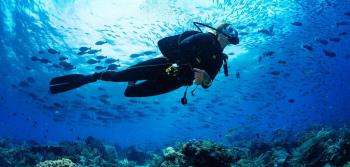 Best Scuba Diving in Canada