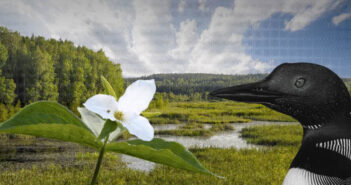 Statement From Ecojustice on Ontario’s Reversal of Greenbelt Plan Ecojustice