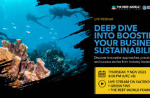 Green Fins Webinar