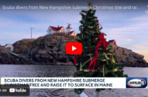 Christmas Tree Maine
