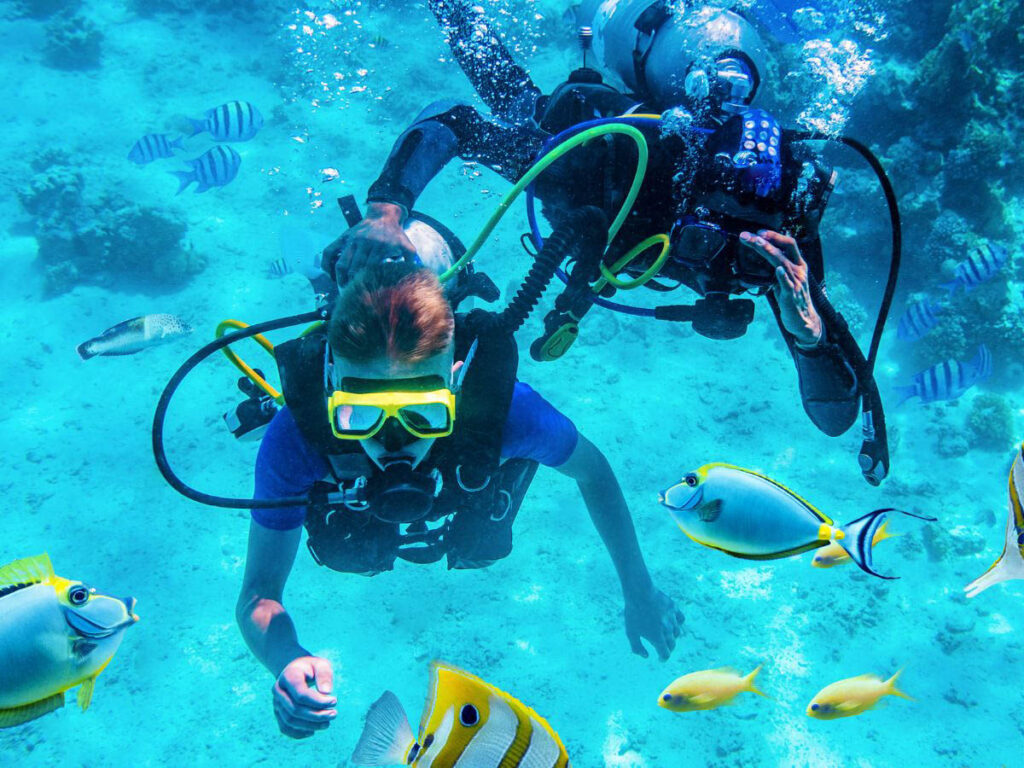 Divers Underwater