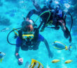 Divers Underwater