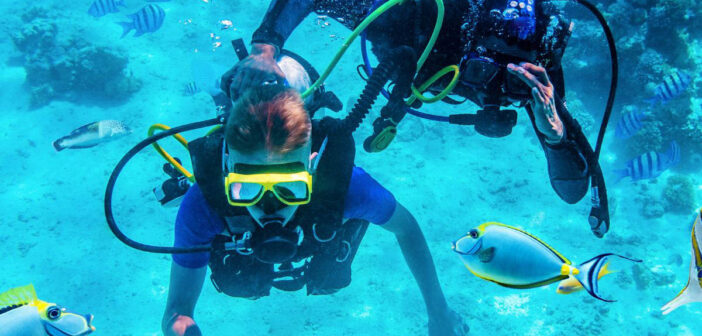 Divers Underwater