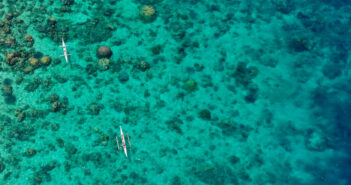 Reef-World Foundation Launches First Ever End-of-Year Campaign: Save Our Reefs!