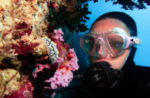 Scuba Diving Glasses