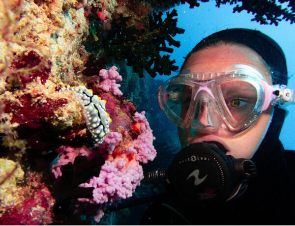 How to Scuba Dive Safely When You Wear Glasses or Contact Lenses