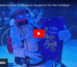 Scuba Santas Newport Aquarium