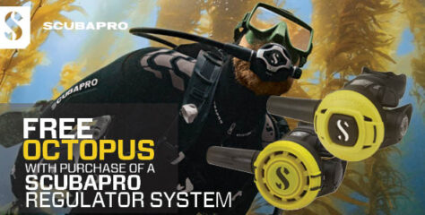 Free Octopus with Every Purchase of a SCUBAPRO Regulator System This Winter