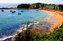 Terrigal Beach