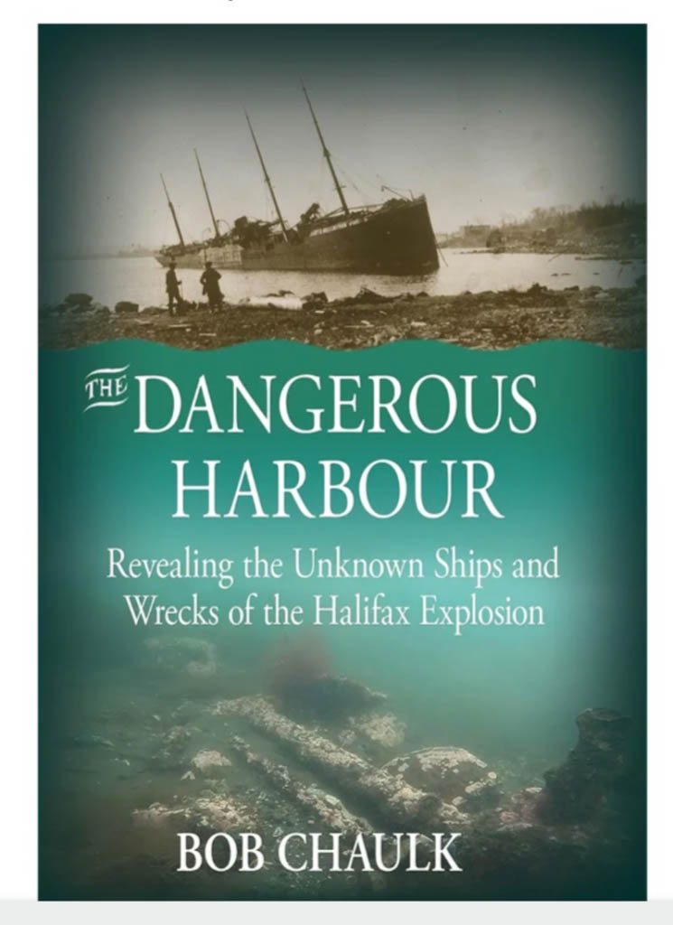 The Dangerous Harbour