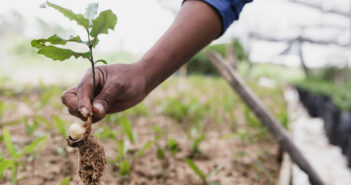 Tree Planting for Watershed Health and Climate Change Resiliency – London, Ontario Tree Planting