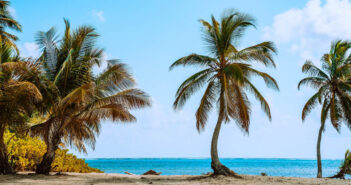 Top 10 Dive Sites in Belize Belize