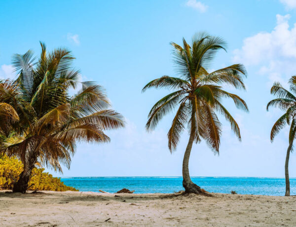 Top 10 Dive Sites in Belize