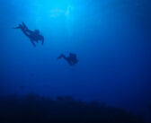 Scuba Diving in the Enchanting Cayman Islands