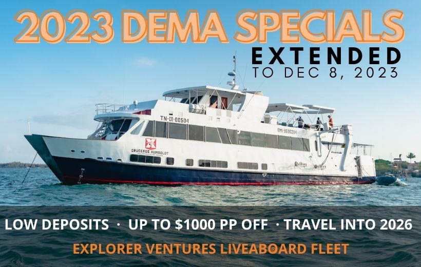 Explorer Ventures DEMA